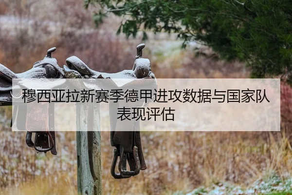 穆西亚拉新赛季德甲进攻数据与国家队表现评估